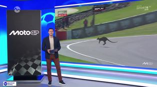 Moto GP