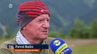 Psom vstup (ne)povolený