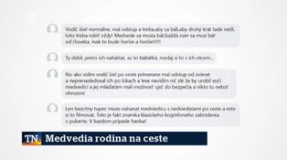 Medvedia rodina na ceste
