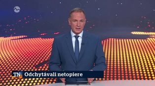 Odchytávali netopiere
