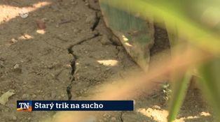 Starý trik na sucho