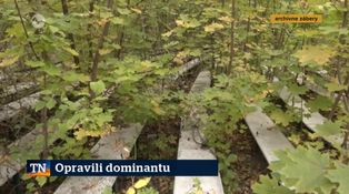 Opravili dominantu