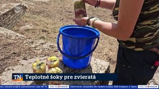 Teplotné šoky pre zvieratá