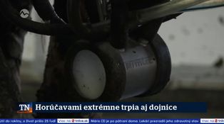 Horúčavami extrémne trpia aj dojnice