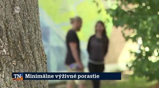 Minimálne výživné porastie