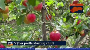 Výber podľa vlastnej chuti