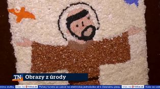 Obrazy z úrody
