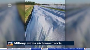 Milióny eur na záchranu ovocia
