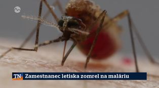 Zahraničné spravodajstvo