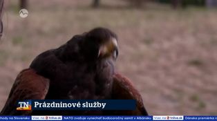 Prázdninové služby
