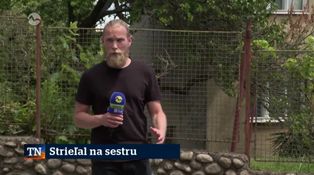 Strieľal na sestru