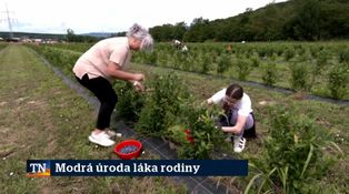 Modrá úroda láka rodiny