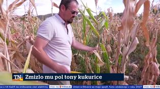 Zmizlo mu pol tony kukurice