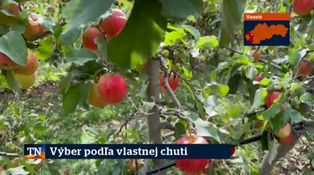 Výber podľa vlastnej chuti