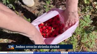 Jedno ovocie strieda druhé