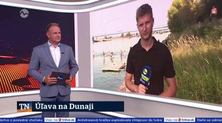 Úľava na Dunaji