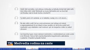 Medvedia rodina na ceste