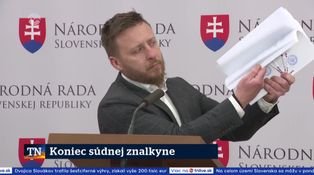 Koniec súdnej znalkyne