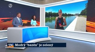 Modrý "bazén" je zelený
