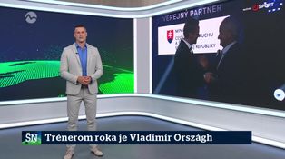 Trénerom roka je Vladimír Országh