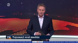 Tajomný svet medúz