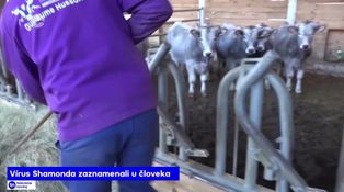 Zahraničné spravodajstvo