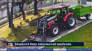 Zásahové tímy zalarmovali medvede