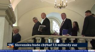 Slovensku bude chýbať 7,5 miliardy eur