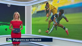 Príprava na výbornú