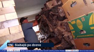 Siahajú po dreve