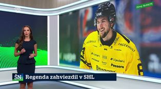 Regenda zahviezdil v SHL