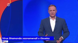 Vírus Shamonda zaznamenali u človeka