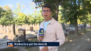 Kukurica pri hroboch