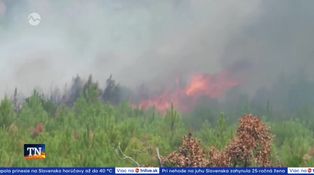 Skáza po ničivých požiaroch