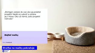 Streľba na mačky pokračuje