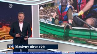 Masívny úhyn rýb