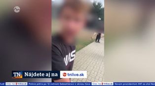 Mladíka so sekerou obvinili
