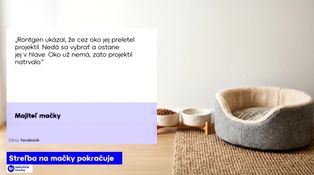 Streľba na mačky pokračuje