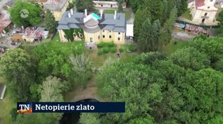 Netopiere zlato