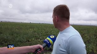 Slovenský cukor bojuje o svoju budúcnosť