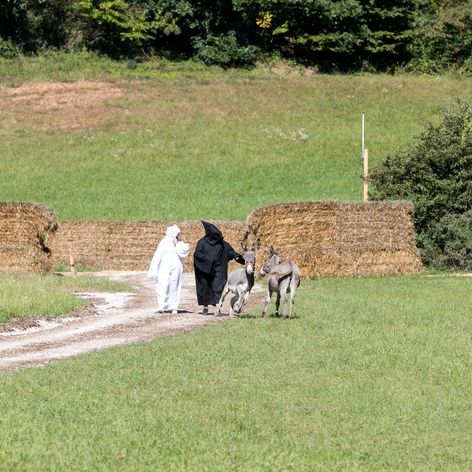Na Farmu prišli dve zamaskované osoby
