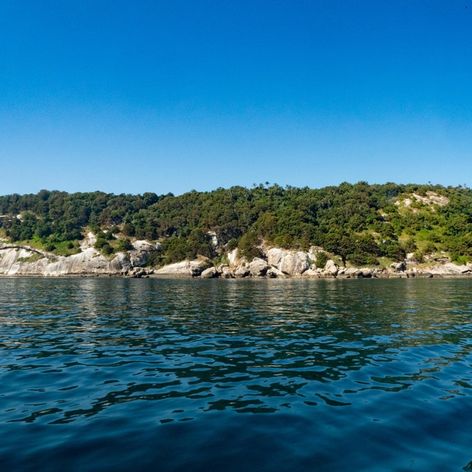 Ilha da Queimada Grande - Hadí ostrov