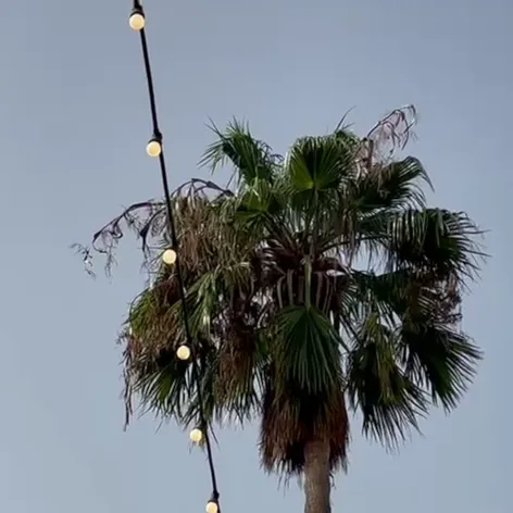 Zásah vo vile na Love Island