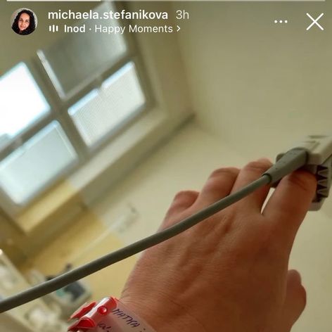 Miška v pôrodnici