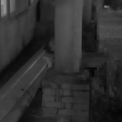 Lenka a Matúš si na Farme užili vášnivú noc