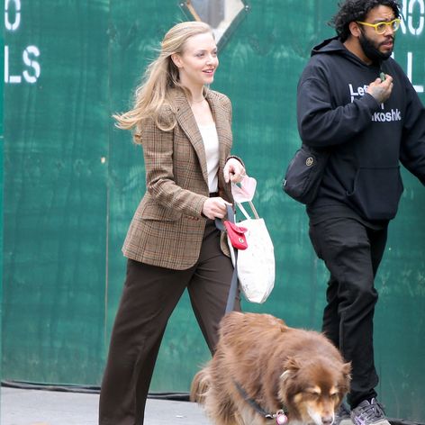 Amanda Seyfried s milovaným spoločníkom, psíkom Finnom. 