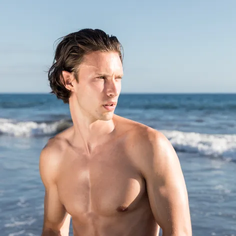 Model Petr