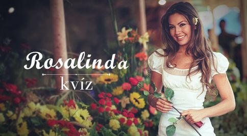 Myslíte si, že viete všetko o telenovele Rosalinda? Otestujte sa v kvíze