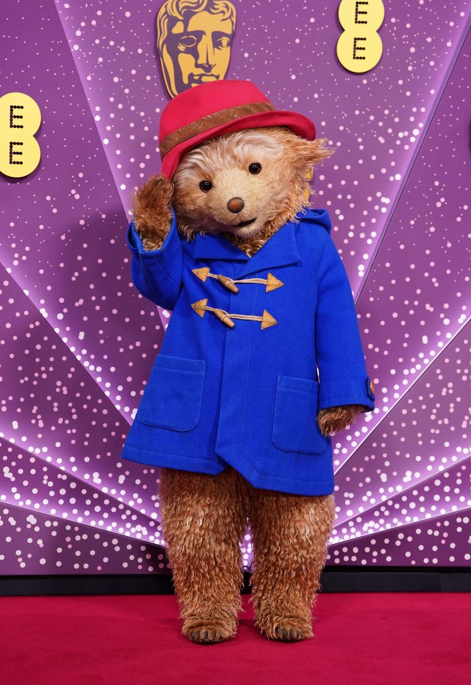 Medvedík Paddington sa prešiel po červenom koberci.