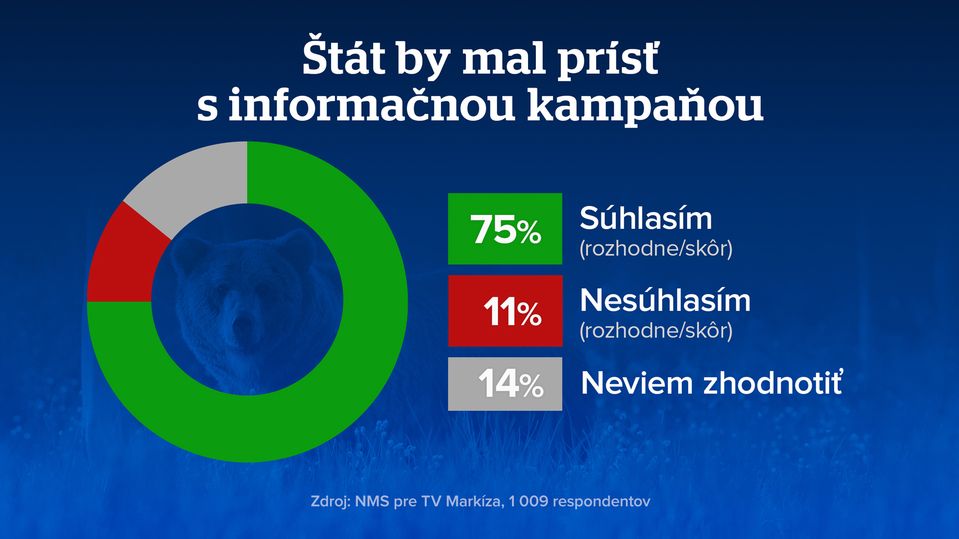 Lebo medveď - exkluzívny prieskum